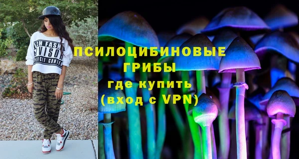 гидра Арсеньев