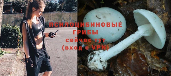 мескалин Аркадак