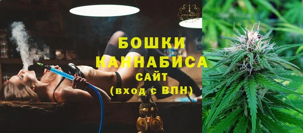 гидра Арсеньев