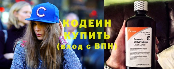 гидра Арсеньев