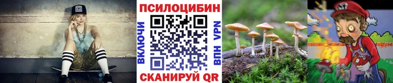 Псилоцибиновые грибы Psilocybe  Кировск 